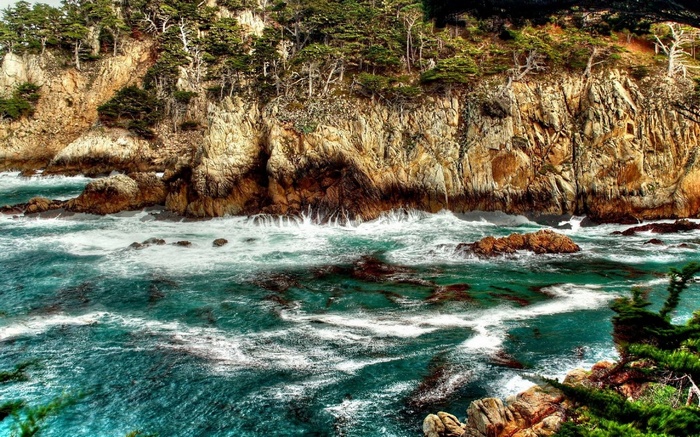 Rocky coastline with cypress trees and ocean waves