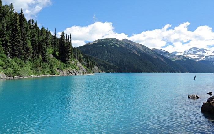 Garibaldi Lake with Mountains and Forest