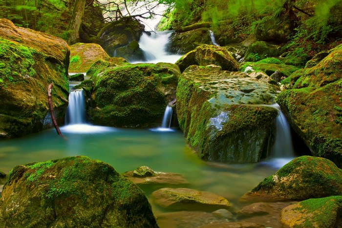 Mossy rocks and waterfalls in a forest