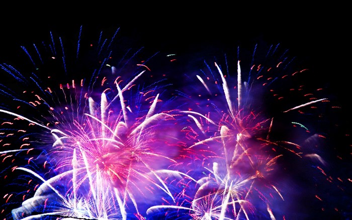 Fireworks exploding in the night sky