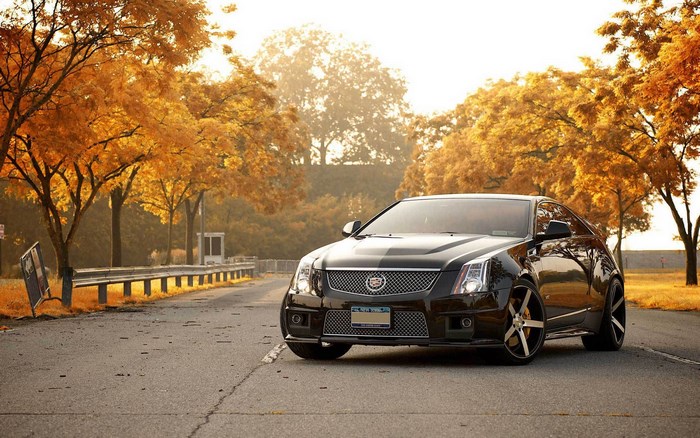 Black Cadillac CTS Coupe on a Road in Autumn