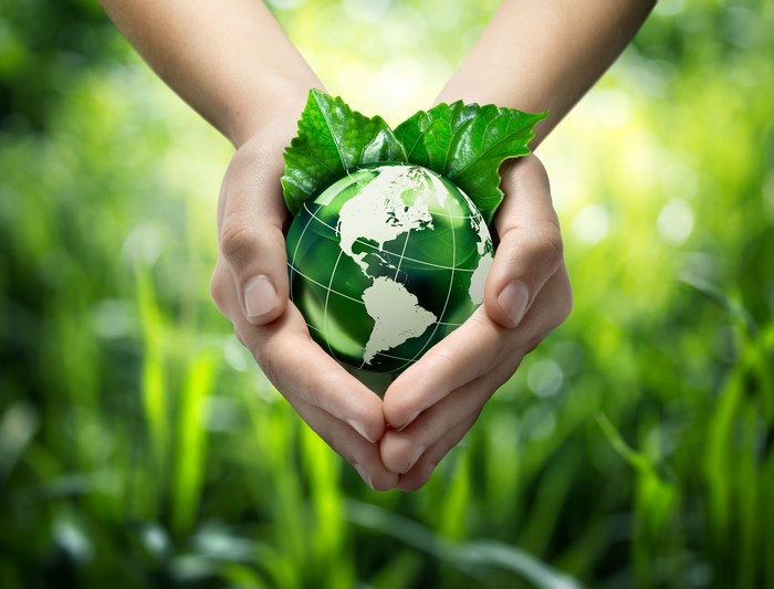 Hands holding a green globe with leaves