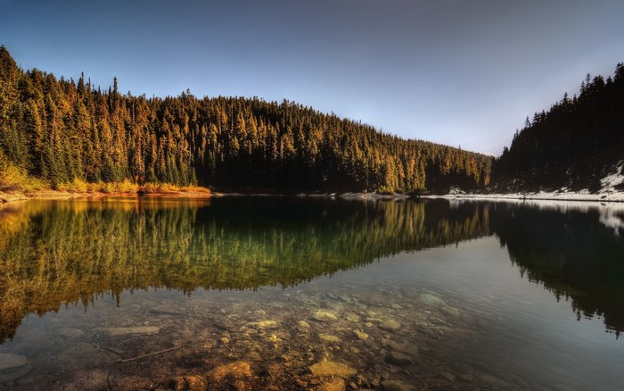 Lake with reflection of autumn forest