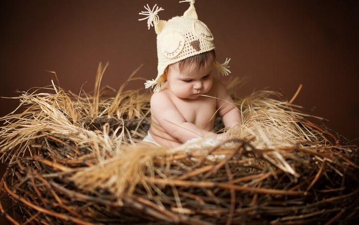 Baby in a nest with owl hat