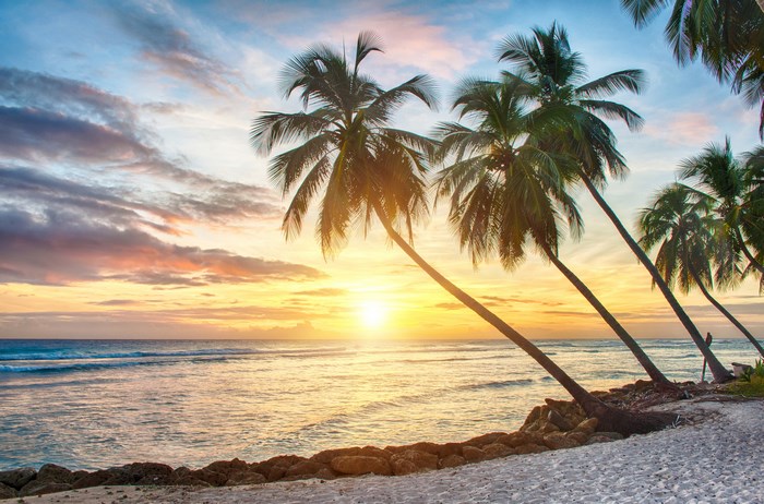 Tropical beach sunset with palm trees