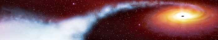Black hole with accretion disk and nebula