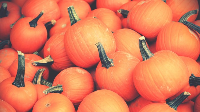 Pile of orange pumpkins with stems