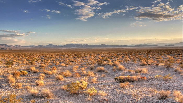 Desert landscape with mountains in the distance