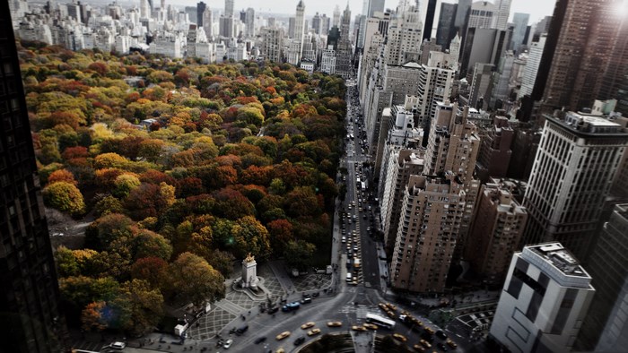Central Park and New York City Skyline in Autumn