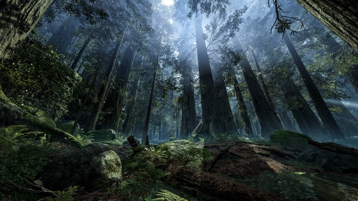 Star Wars Battlefront 2015 forest scene