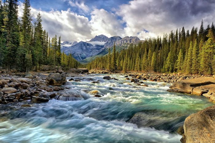 River flowing through a forest with mountains