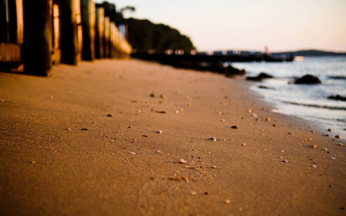 Sandy beach with wooden posts and ocean waves