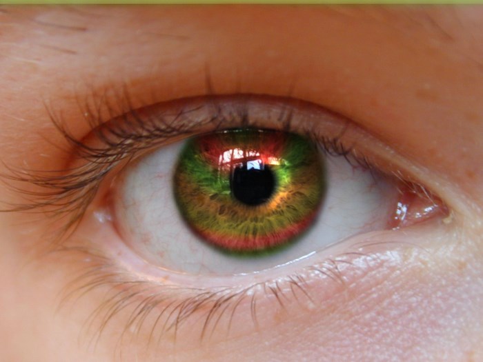 Close-up of Eye with Multicolor Iris