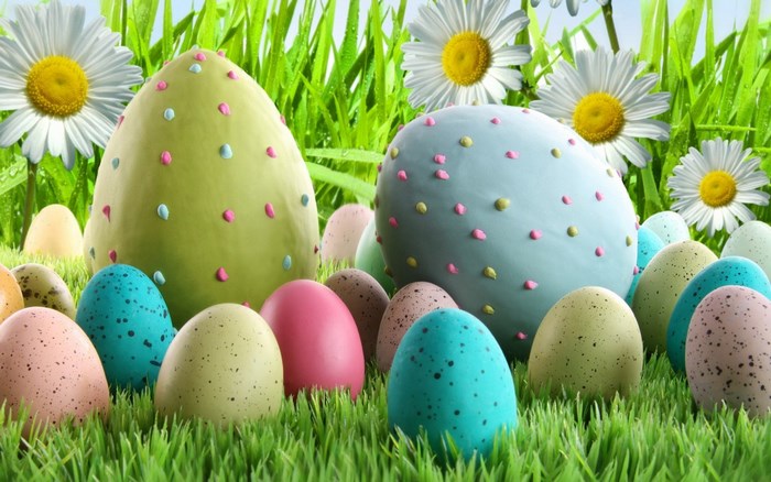 Easter eggs and daisies in grass