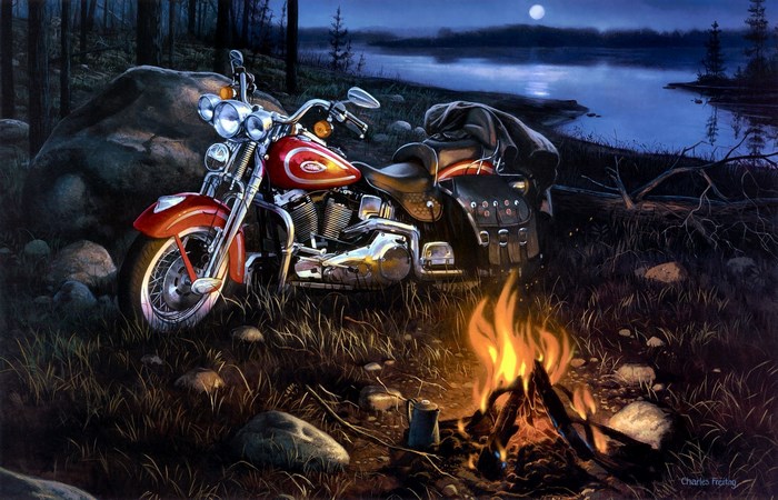 Harley Davidson motorcycle by campfire at night