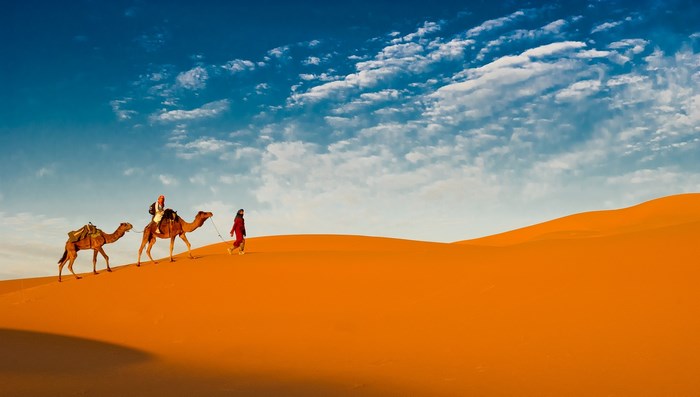 Caravan in the desert