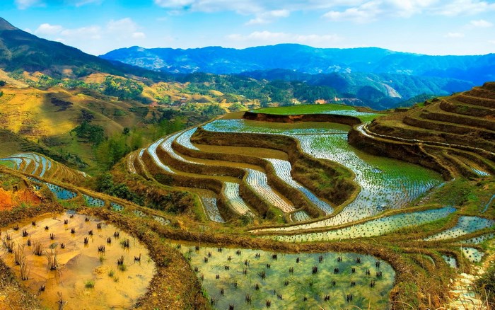 Terraced rice paddies on a mountainside under a blue sky