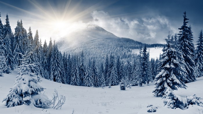 Snowy forest with sun rays over mountain