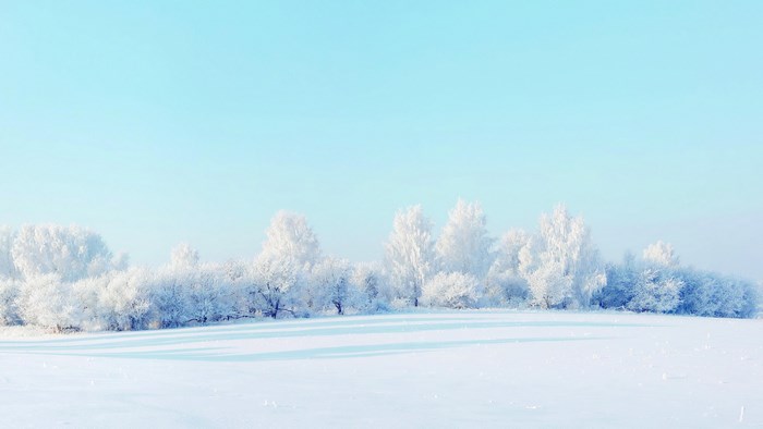 Winter nature scene with snow-covered trees