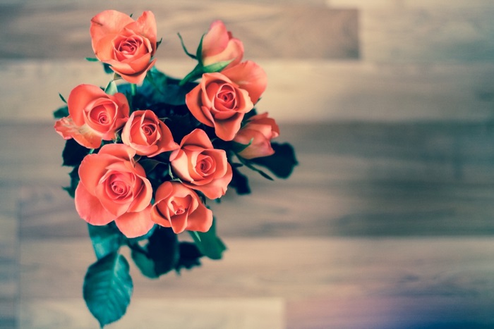 Orange Roses on Wooden Background
