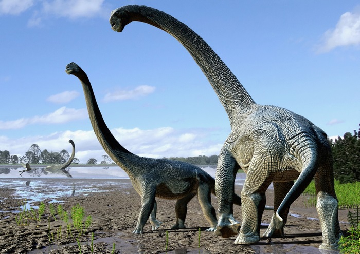 Brachiosaurus dinosaurs in a marshy landscape