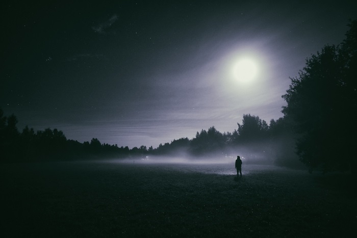 Lone figure in foggy field under moonlight