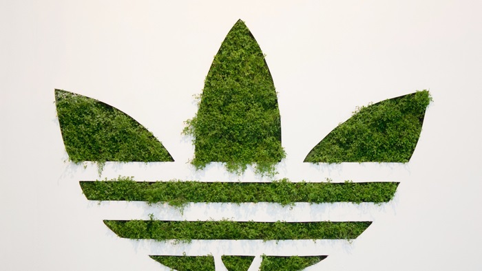 Adidas logo with green plants
