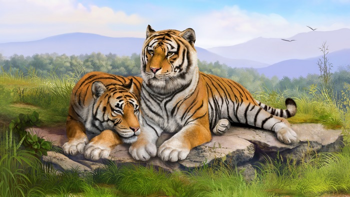 Two tigers resting on rocks in a natural landscape
