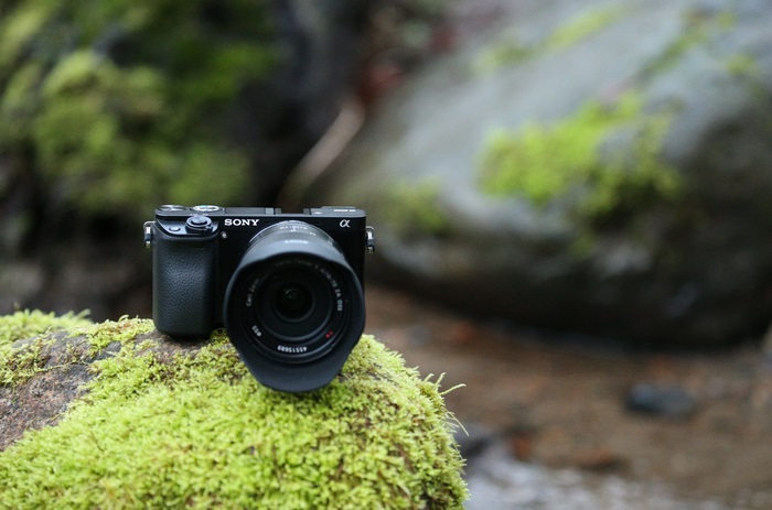 Sony Alpha a6000 camera on mossy rock