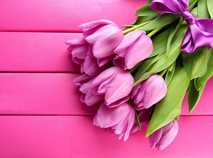 4K Close-up of Pink Tulip Bouquet with Ribbon