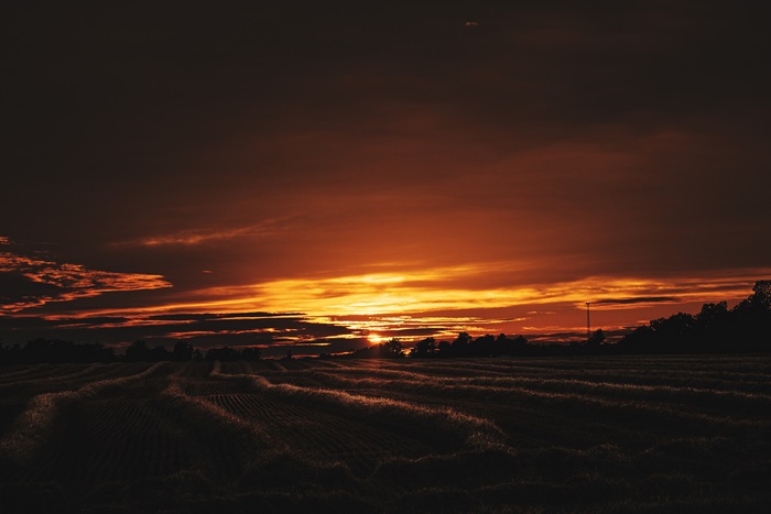 Sunset over a harvested field