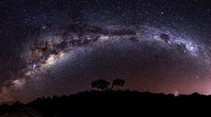Milky Way Arch over Silhouetted Trees 4K