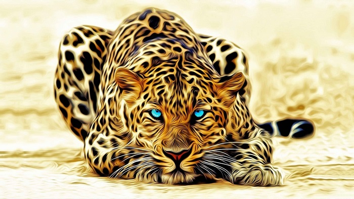4K Leopard with Striking Blue Eyes