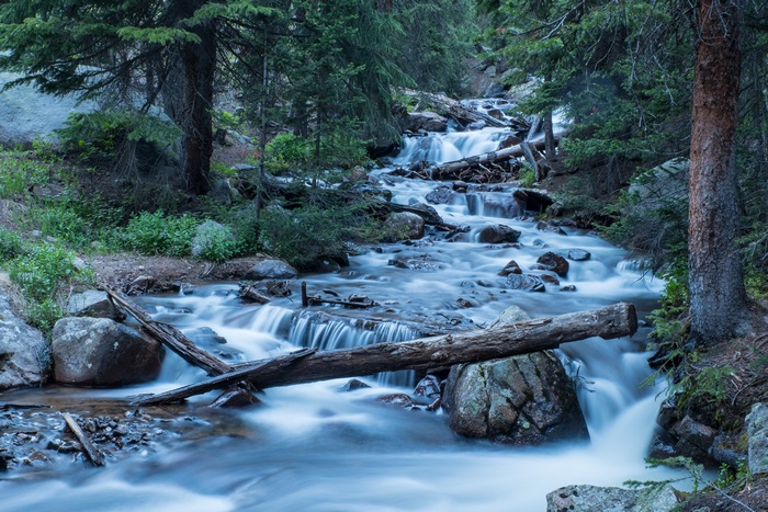 River flowing through a forest
