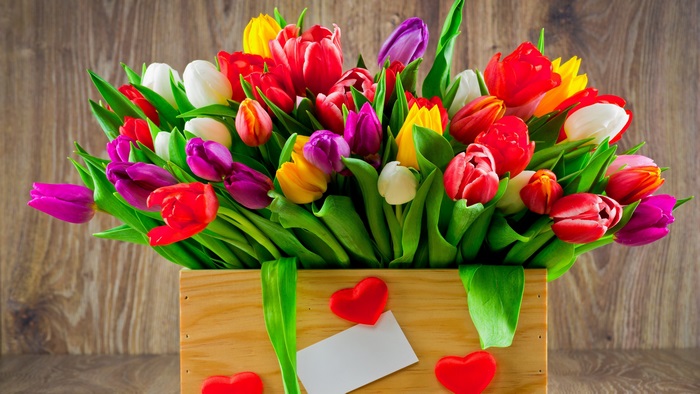 Bouquet of colorful tulips in a wooden box with hearts