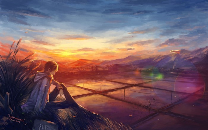 Anime boy watching sunset over rice paddies