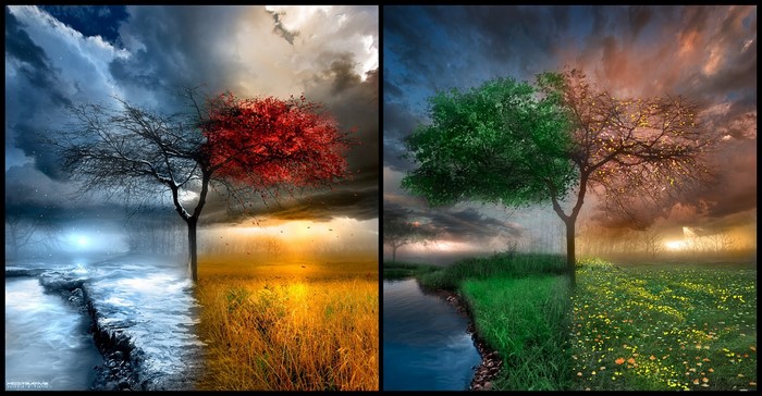 Four Seasons Landscape with Trees, Water, and Clouds