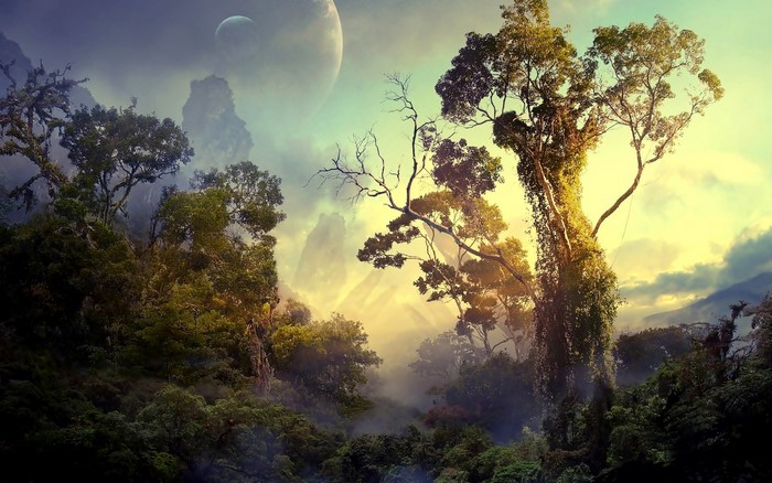 Mystical Forest with Distant Planets and Golden Light