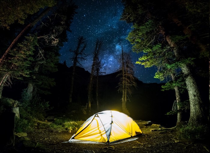 Camping tent under starry night sky in forest