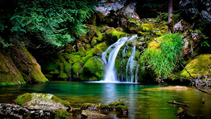 Waterfall cascading over moss-covered rocks into a clear pool