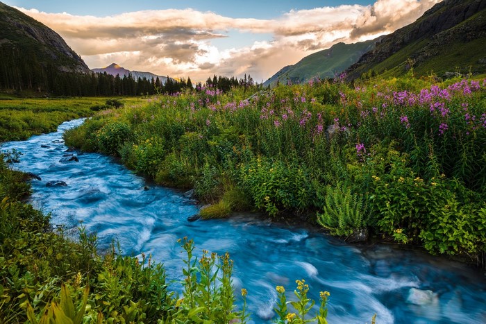 Flowing River Through a Colorful Colorado Mountain Valley
