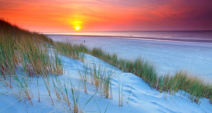 Sunset Over Sandy Dutch Beach Dunes with Grass