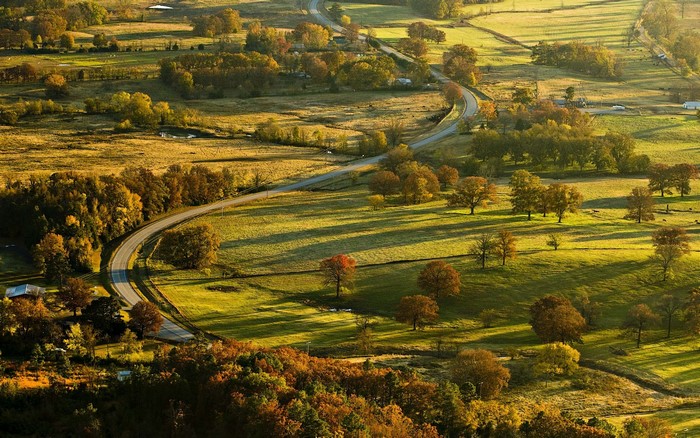 Autumn landscape with a winding road and trees
