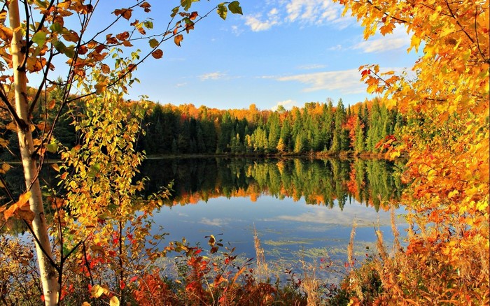 Autumn Lake with Colorful Fall Foliage Reflection