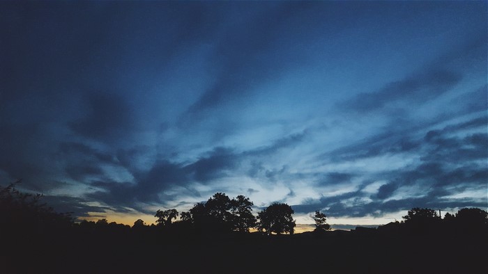 Silhouette of trees against a twilight sky