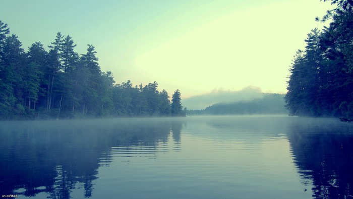 Lake and forest with mist at sunrise