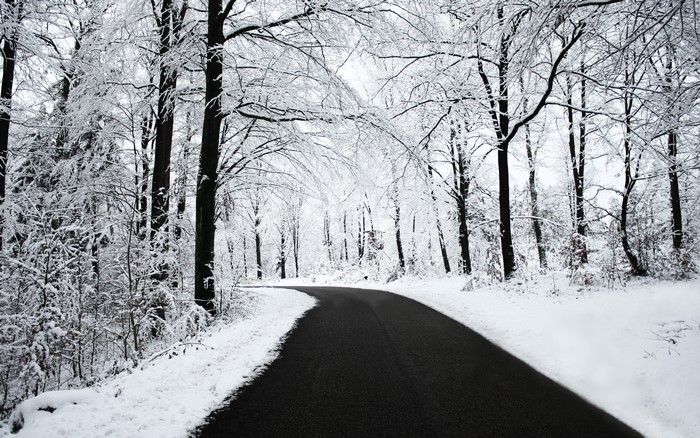 A snowy road winds through a winter forest