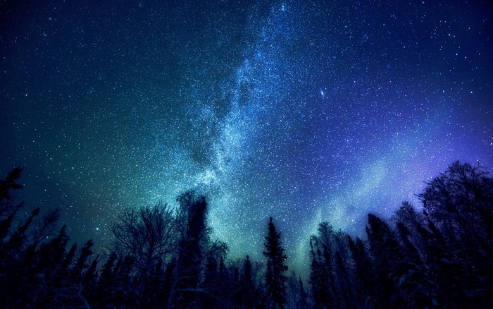Trees under the Milky Way galaxy