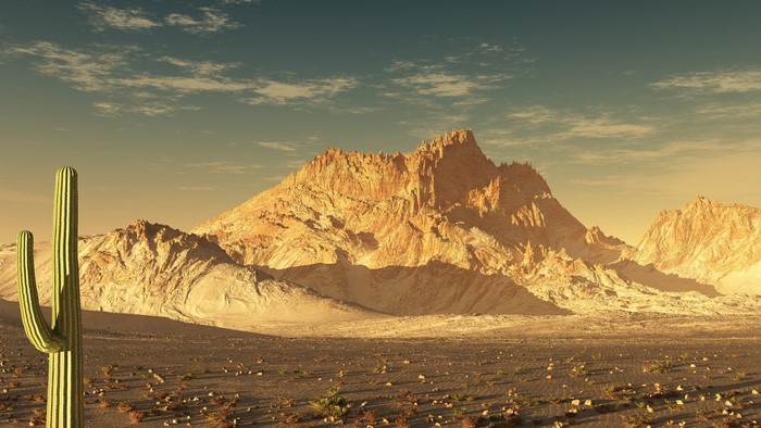 Desert landscape with saguaro cactus and mountains