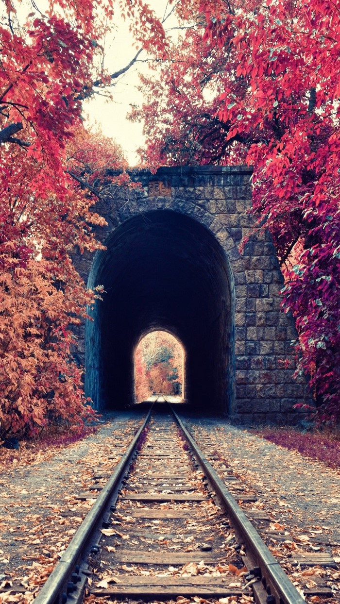 Railway tunnel surrounded by autumn trees